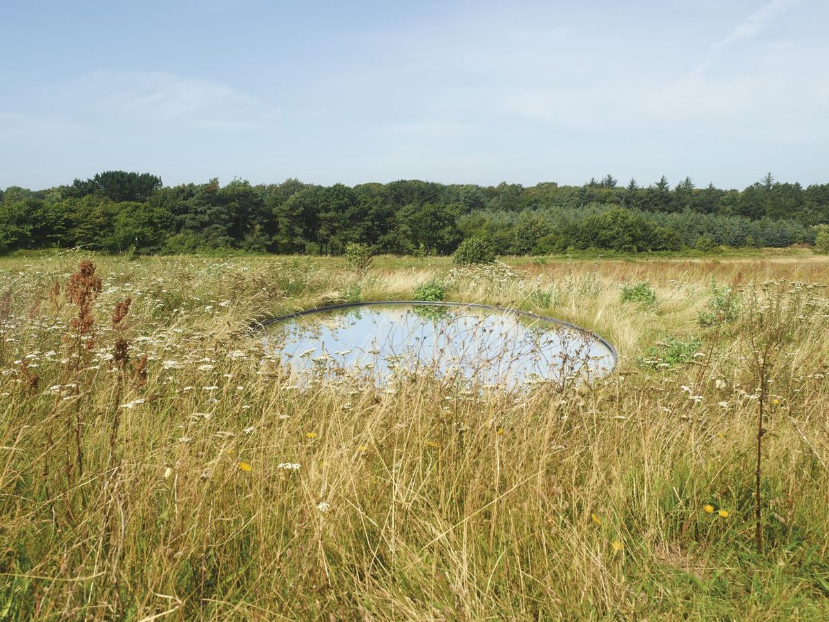 pond.jpg