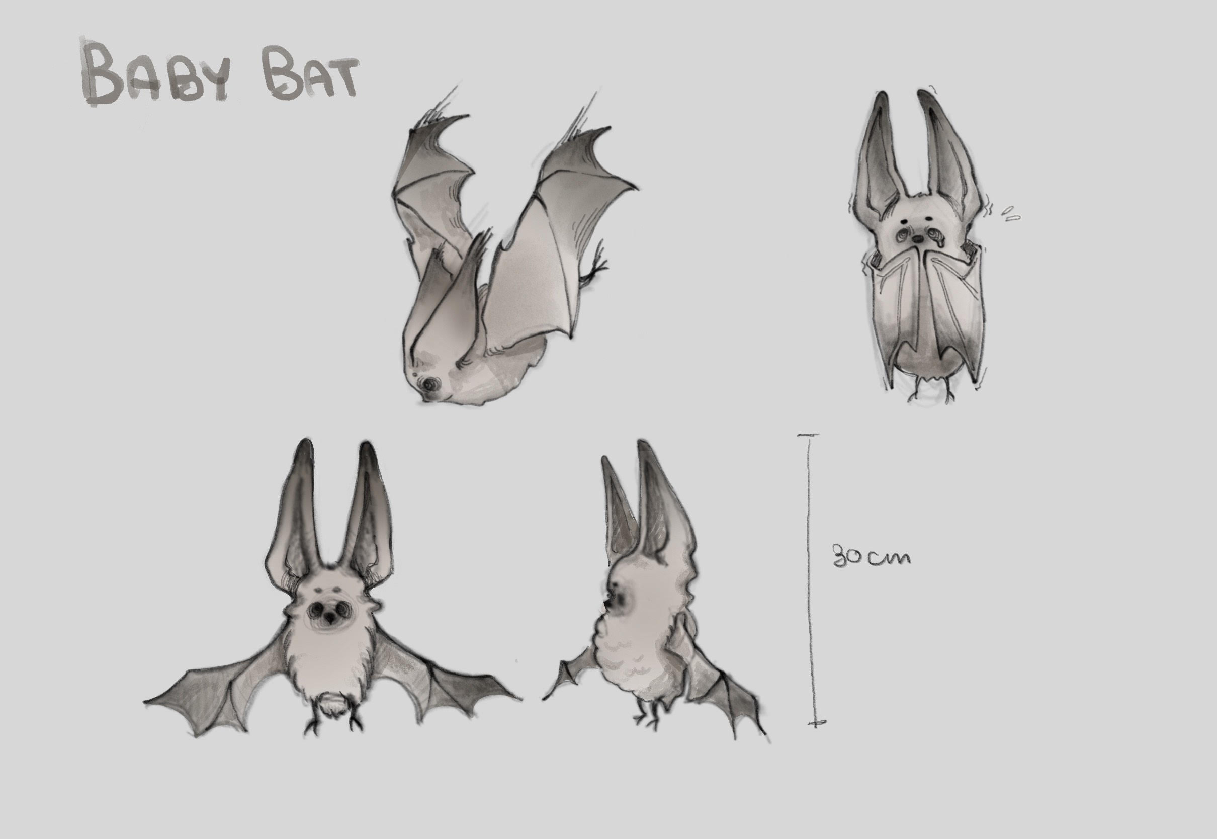 Nocturnal Valley – baby bat character sheet