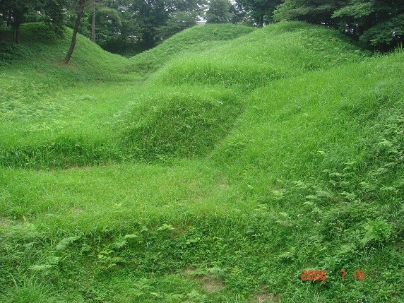 grassy.jpg